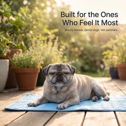 Wooflet Cooling Mat XL